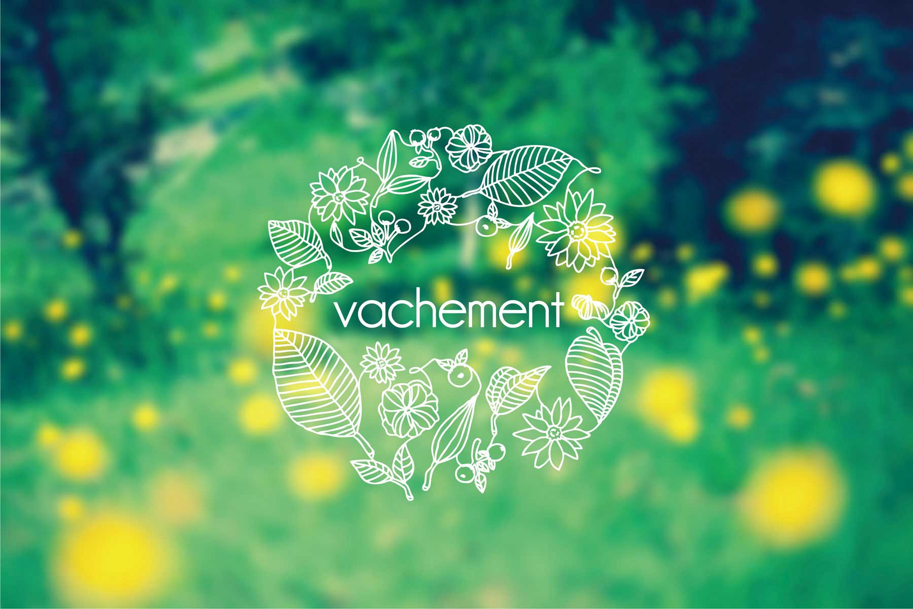 Vachement room spray 5